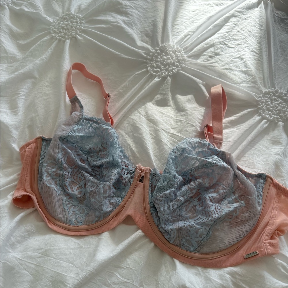 La Vie En Rose Lace Bra in Pink and Blue